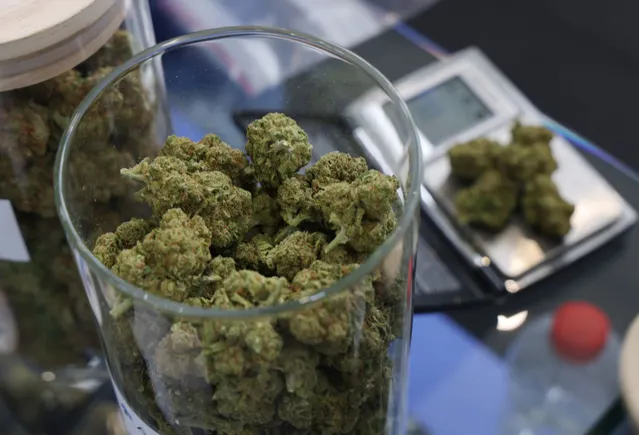 2026年大麻行业CFO行动指南：财务纪律与专业能力建设